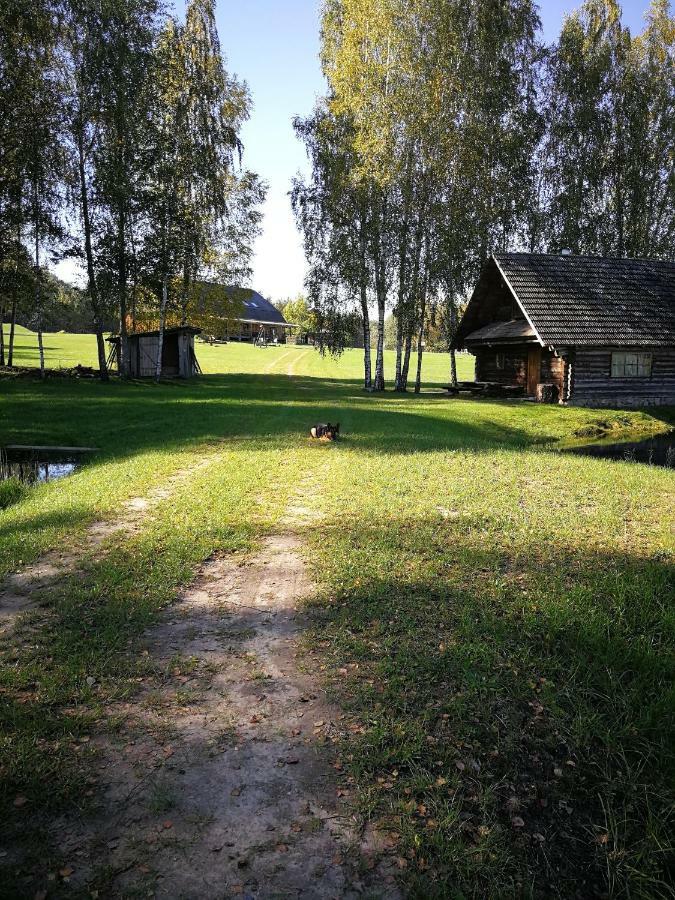 Sodyba Vieversyne Duokiskis Bagian luar foto