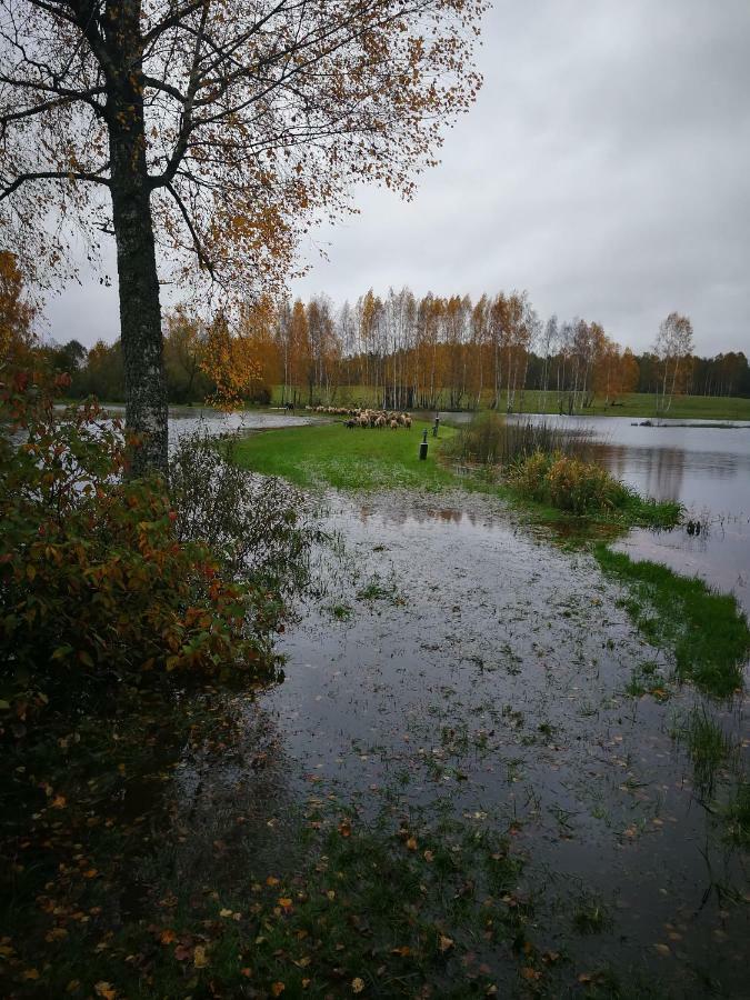 Sodyba Vieversyne Duokiskis Bagian luar foto