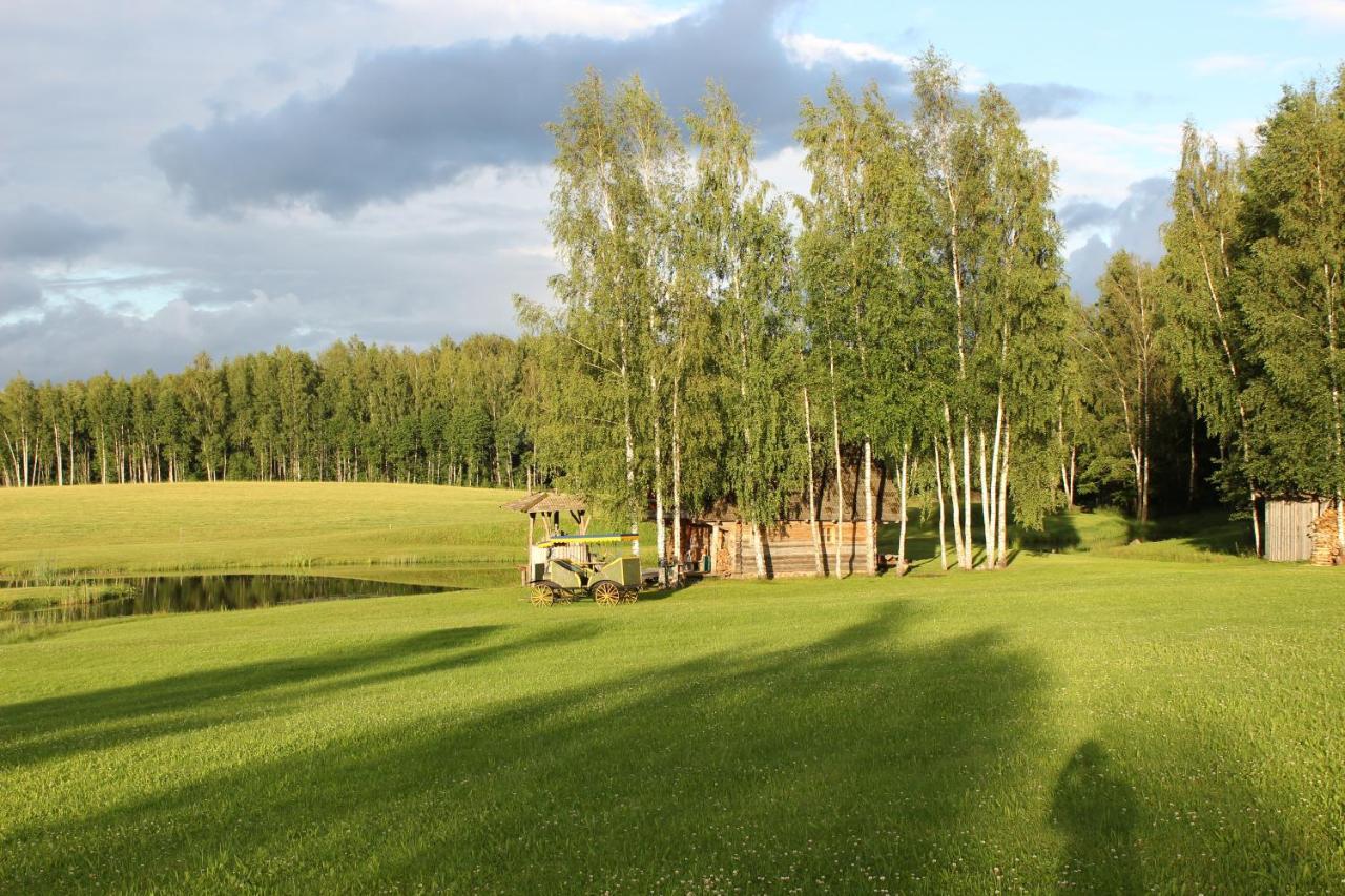 Sodyba Vieversyne Duokiskis Bagian luar foto